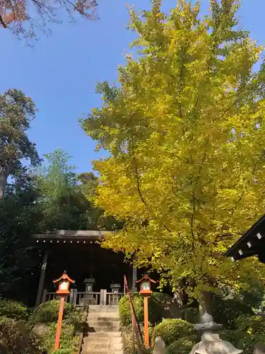 日枝神社水天宮の本殿・本堂