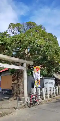 日枝神社の鳥居