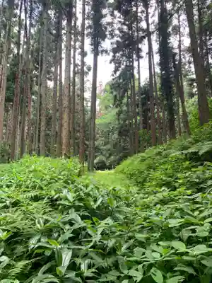 稲荷神社(千葉県)