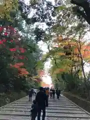 光明寺（粟生光明寺）の建物その他