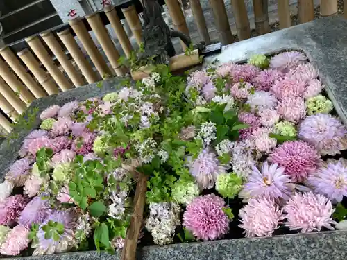高円寺氷川神社(東京都)