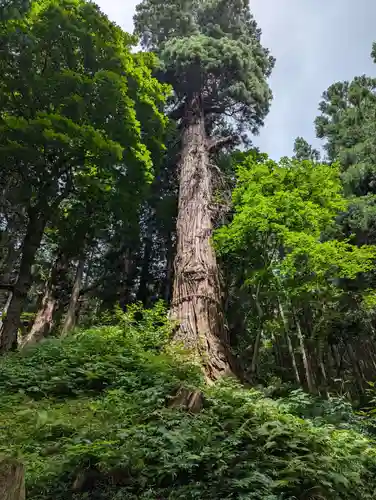 志和稲荷神社(岩手県)