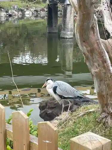 嚴島神社 (京都御苑)(京都府)