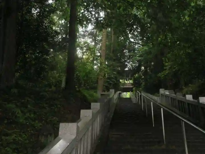 達磨寺(群馬県)