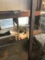 谷古宇稲荷神社(埼玉県)