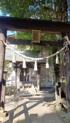 所澤神明社(埼玉県)