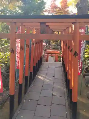 花園稲荷神社の鳥居