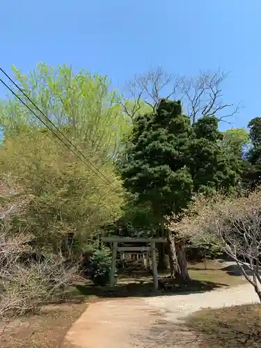 御嶽神社の鳥居