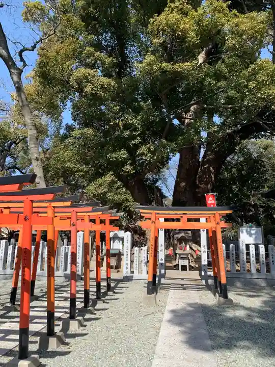 信太森神社(葛葉稲荷神社)(大阪府)