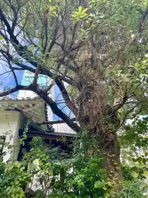 大聖院(神奈川県)