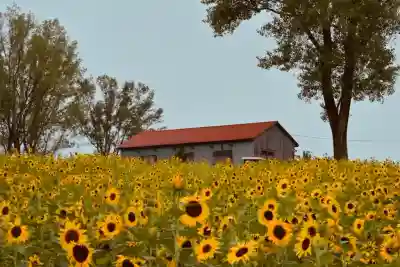 沢山神社（澤山神社)(新潟県)