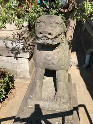 富岡八幡宮の狛犬