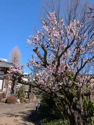 瑞円寺(東京都)