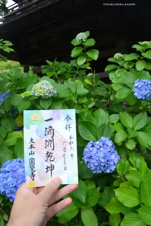 円覚寺(神奈川県)