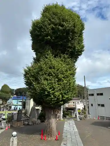 久里浜若宮神社(神奈川県)