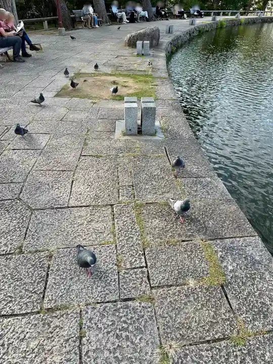 興福寺 南円堂(奈良県)