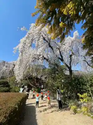 中院の{uncategorized: "未分類", other: "その他", undefined: "問題あり", building: "その他建物", grave: "お墓", sacred_gate: "鳥居", guardian: "狛犬", statue: "像", buddha: "仏像", history: "歴史", nature: "自然", garden: "庭園", animal: "動物", pagoda: "塔", temizu: "手水舎", mountain_gate: "山門・神門", sanctuary: "本殿・本堂", subordinate: "末社・摂社", art: "芸術", scenery: "景色", jizo: "地蔵", ema: "絵馬", goshuin: "御朱印", omikuji: "おみくじ", items: "授与品その他", amulet: "お守り", goshuincho: "御朱印帳", eats: "食事", festival: "お祭り", votive_dance: "神楽", shichigosan: "七五三参", wedding: "結婚式", experience: "体験その他", initially: "初詣", around: "周辺", anti_infection: "感染症対策"}