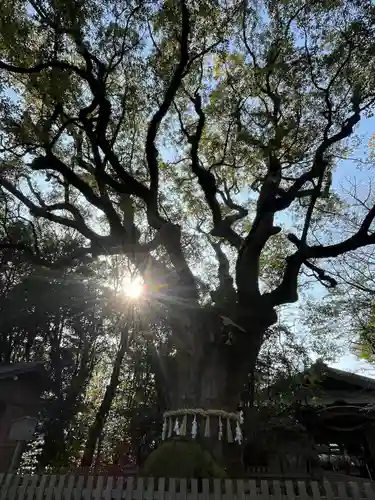 猿投神社(愛知県)