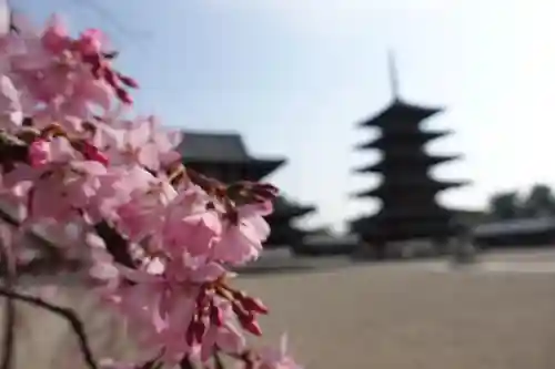 法隆寺の庭園