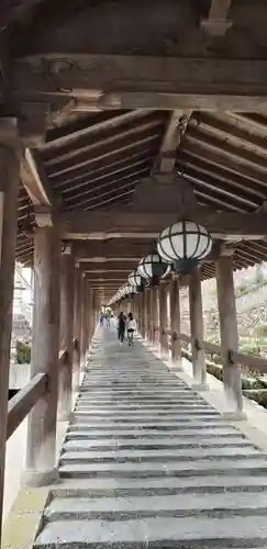 長谷寺(奈良県)