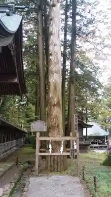 諏訪大社(長野県)