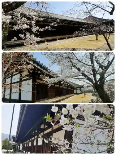 元興寺の{uncategorized: "未分類", other: "その他", undefined: "問題あり", building: "その他建物", grave: "お墓", sacred_gate: "鳥居", guardian: "狛犬", statue: "像", buddha: "仏像", history: "歴史", nature: "自然", garden: "庭園", animal: "動物", pagoda: "塔", temizu: "手水舎", mountain_gate: "山門・神門", sanctuary: "本殿・本堂", subordinate: "末社・摂社", art: "芸術", scenery: "景色", jizo: "地蔵", ema: "絵馬", goshuin: "御朱印", omikuji: "おみくじ", items: "授与品その他", amulet: "お守り", goshuincho: "御朱印帳", eats: "食事", festival: "お祭り", votive_dance: "神楽", shichigosan: "七五三参", wedding: "結婚式", experience: "体験その他", initially: "初詣", around: "周辺", anti_infection: "感染症対策"}