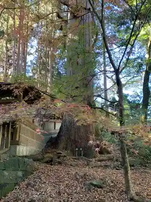 石船神社(茨城県)