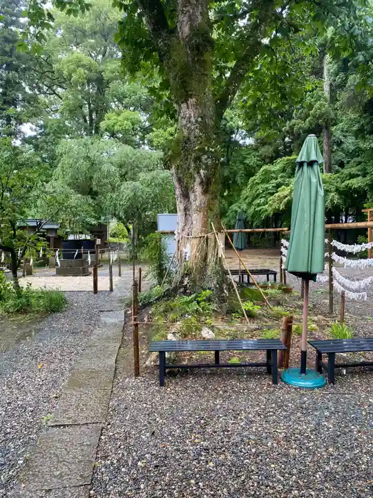 小御門神社(千葉県)