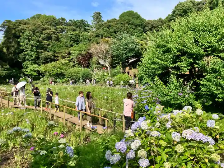 本土寺(千葉県)