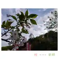 岐阜稲荷山本社(岐阜県)