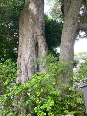 菅原神社(神奈川県)