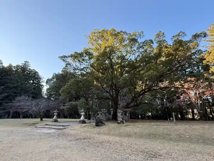 大斎原(熊野本宮大社旧社地)(和歌山県)
