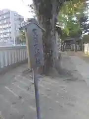 細田神社の建物その他