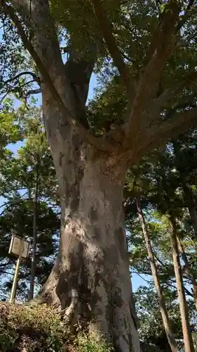 二俣神社(宮城県)