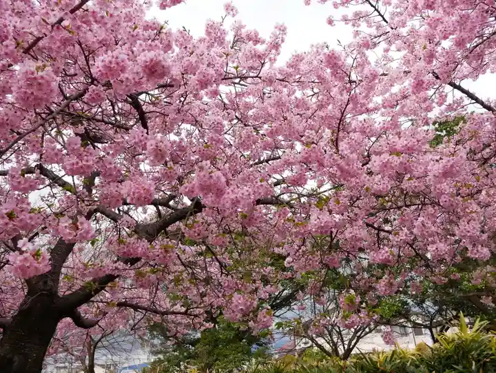 米之宮浅間神社(静岡県)