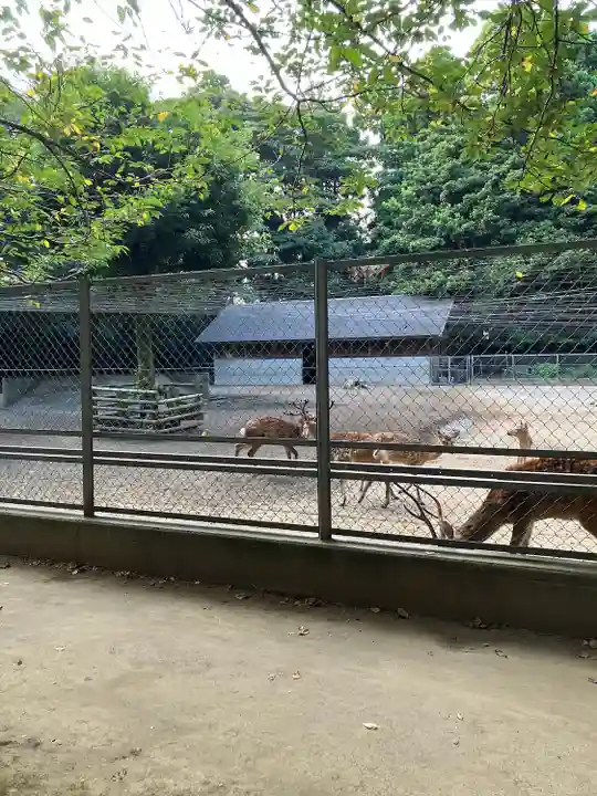 鹿島神宮(茨城県)