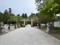 仙台東照宮の{uncategorized: "未分類", other: "その他", undefined: "問題あり", building: "その他建物", grave: "お墓", sacred_gate: "鳥居", guardian: "狛犬", statue: "像", buddha: "仏像", history: "歴史", nature: "自然", garden: "庭園", animal: "動物", pagoda: "塔", temizu: "手水舎", mountain_gate: "山門・神門", sanctuary: "本殿・本堂", subordinate: "末社・摂社", art: "芸術", scenery: "景色", jizo: "地蔵", ema: "絵馬", goshuin: "御朱印", omikuji: "おみくじ", items: "授与品その他", amulet: "お守り", goshuincho: "御朱印帳", eats: "食事", festival: "お祭り", votive_dance: "神楽", shichigosan: "七五三参", wedding: "結婚式", experience: "体験その他", initially: "初詣", around: "周辺", anti_infection: "感染症対策"}