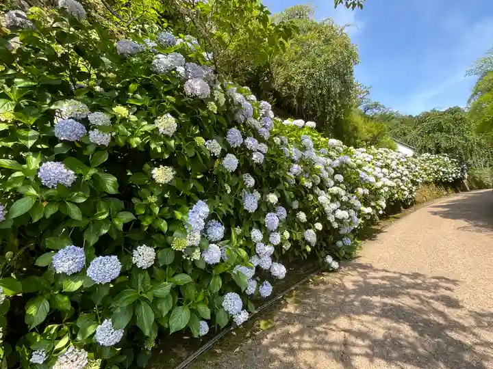 長谷寺(奈良県)