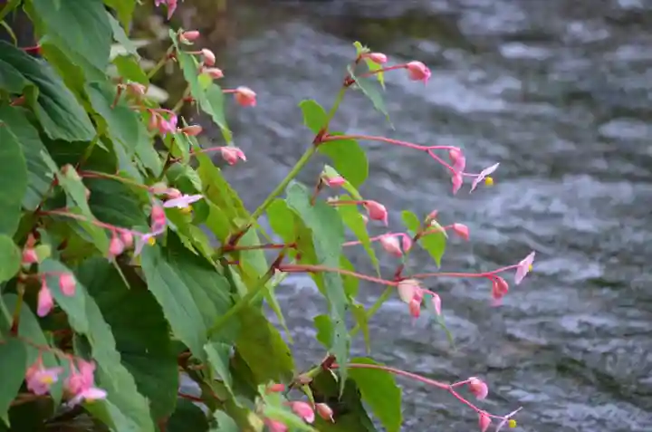 加茂神社(滋賀県)