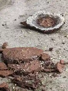 石内のお大師さん 金剛院(広島県)(2023年10月25日(水) 10時25分28秒投稿)