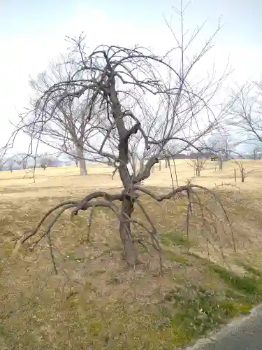 神前神社の自然