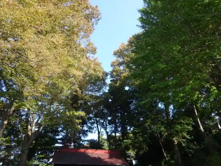 弥生神社の自然