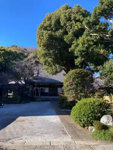 成願寺(神奈川県)