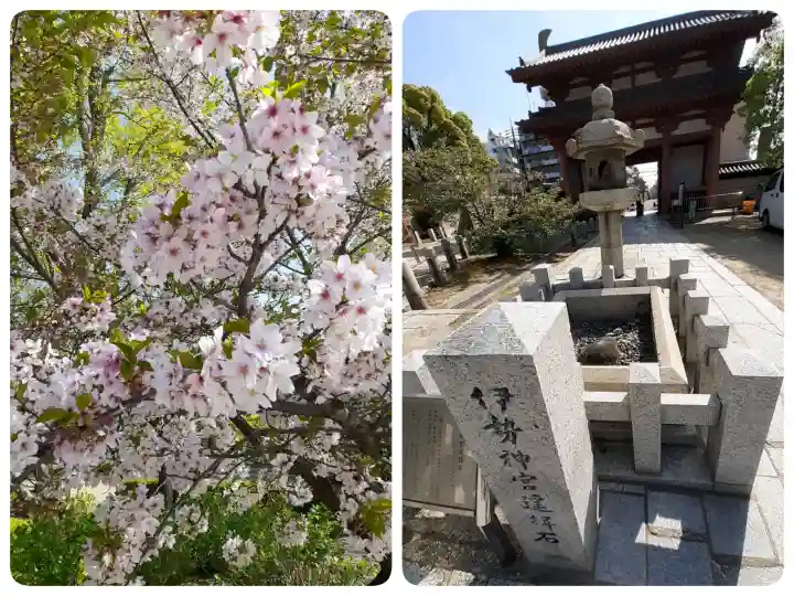 四天王寺の{uncategorized: "未分類", other: "その他", undefined: "問題あり", building: "その他建物", grave: "お墓", sacred_gate: "鳥居", guardian: "狛犬", statue: "像", buddha: "仏像", history: "歴史", nature: "自然", garden: "庭園", animal: "動物", pagoda: "塔", temizu: "手水舎", mountain_gate: "山門・神門", sanctuary: "本殿・本堂", subordinate: "末社・摂社", art: "芸術", scenery: "景色", jizo: "地蔵", ema: "絵馬", goshuin: "御朱印", omikuji: "おみくじ", items: "授与品その他", amulet: "お守り", goshuincho: "御朱印帳", eats: "食事", festival: "お祭り", votive_dance: "神楽", shichigosan: "七五三参", wedding: "結婚式", experience: "体験その他", initially: "初詣", around: "周辺", anti_infection: "感染症対策"}