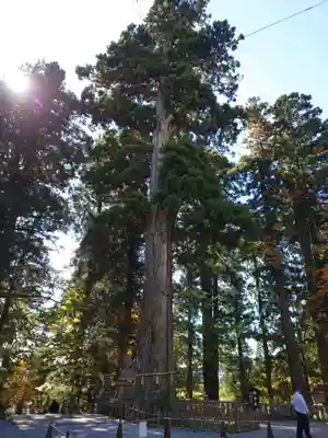 戸隠神社中社(長野県)