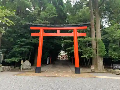 霧島神宮の鳥居