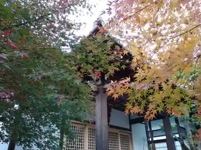 法華寺の自然