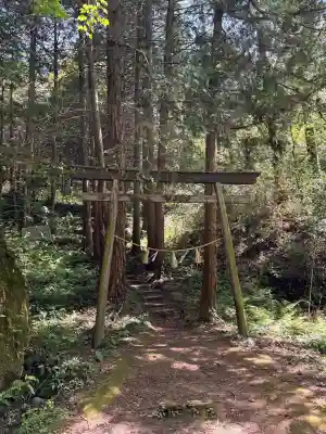 須我神社の{uncategorized: "未分類", other: "その他", undefined: "問題あり", building: "その他建物", grave: "お墓", sacred_gate: "鳥居", guardian: "狛犬", statue: "像", buddha: "仏像", history: "歴史", nature: "自然", garden: "庭園", animal: "動物", pagoda: "塔", temizu: "手水舎", mountain_gate: "山門・神門", sanctuary: "本殿・本堂", subordinate: "末社・摂社", art: "芸術", scenery: "景色", jizo: "地蔵", ema: "絵馬", goshuin: "御朱印", omikuji: "おみくじ", items: "授与品その他", amulet: "お守り", goshuincho: "御朱印帳", eats: "食事", festival: "お祭り", votive_dance: "神楽", shichigosan: "七五三参", wedding: "結婚式", experience: "体験その他", initially: "初詣", around: "周辺", anti_infection: "感染症対策"}