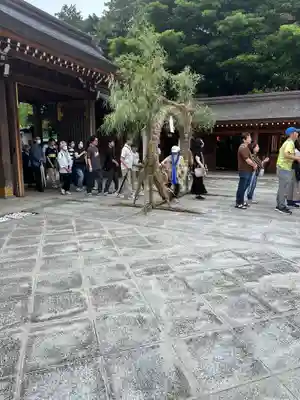 亀ケ池八幡宮(神奈川県)