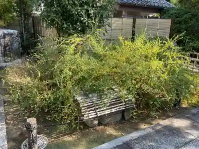 圓光禅寺(円光寺)(愛知県)